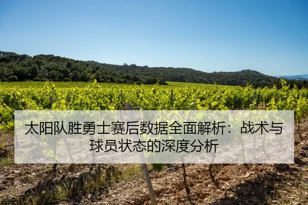 太阳队胜勇士赛后数据全面解析：战术与球员状态的深度分析